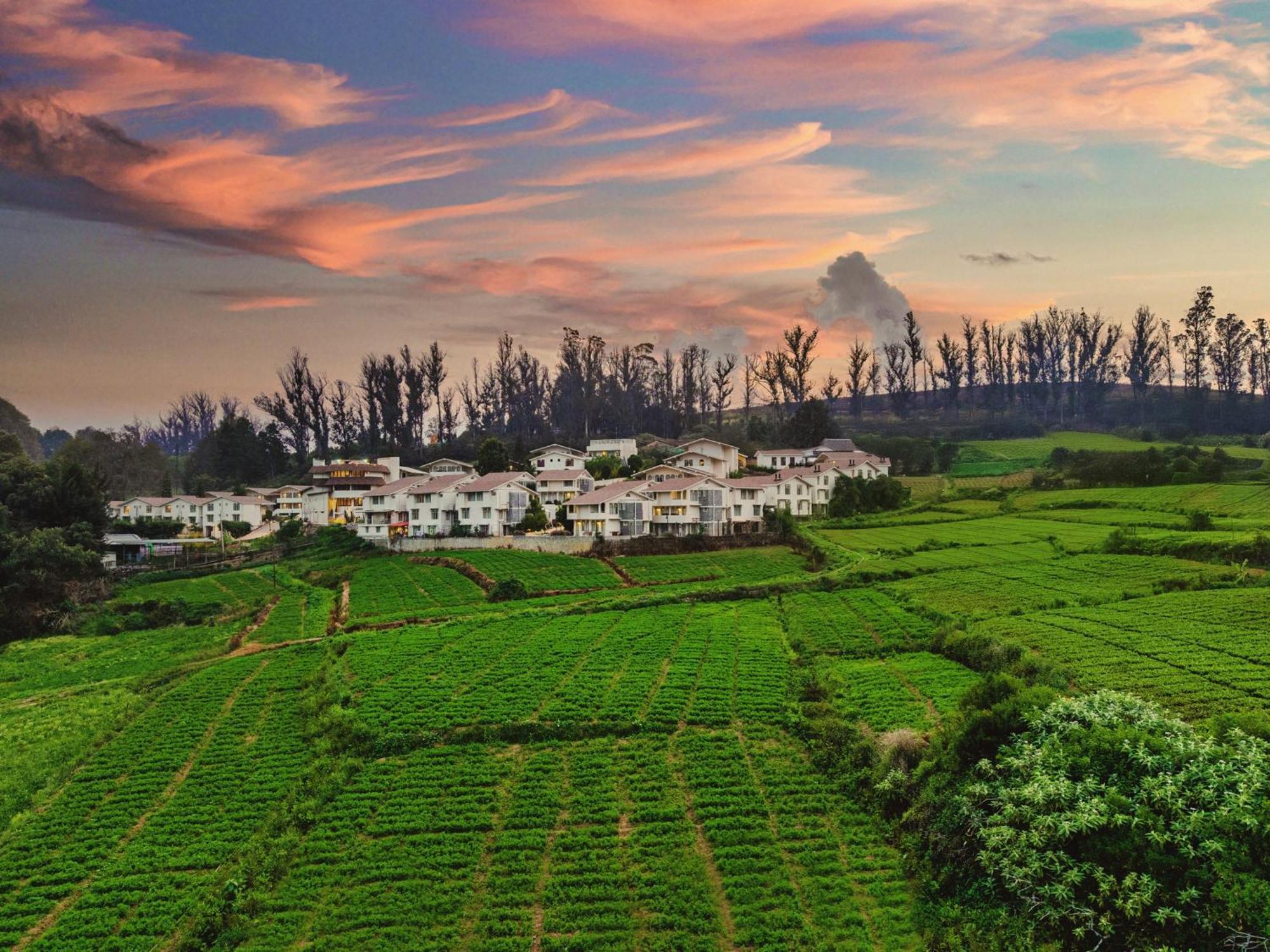 Hotel Mango Hill Shola Ooty Exterior foto
